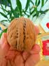 京东京造原味新疆烤核桃1kg 烤核桃熟核桃坚果薄皮核桃休闲零食京东自营 实拍图