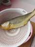 黄小渔宁德三去黄花鱼650g/2条 大黄鱼生鲜海鲜水产深海鱼清蒸烧烤 实拍图