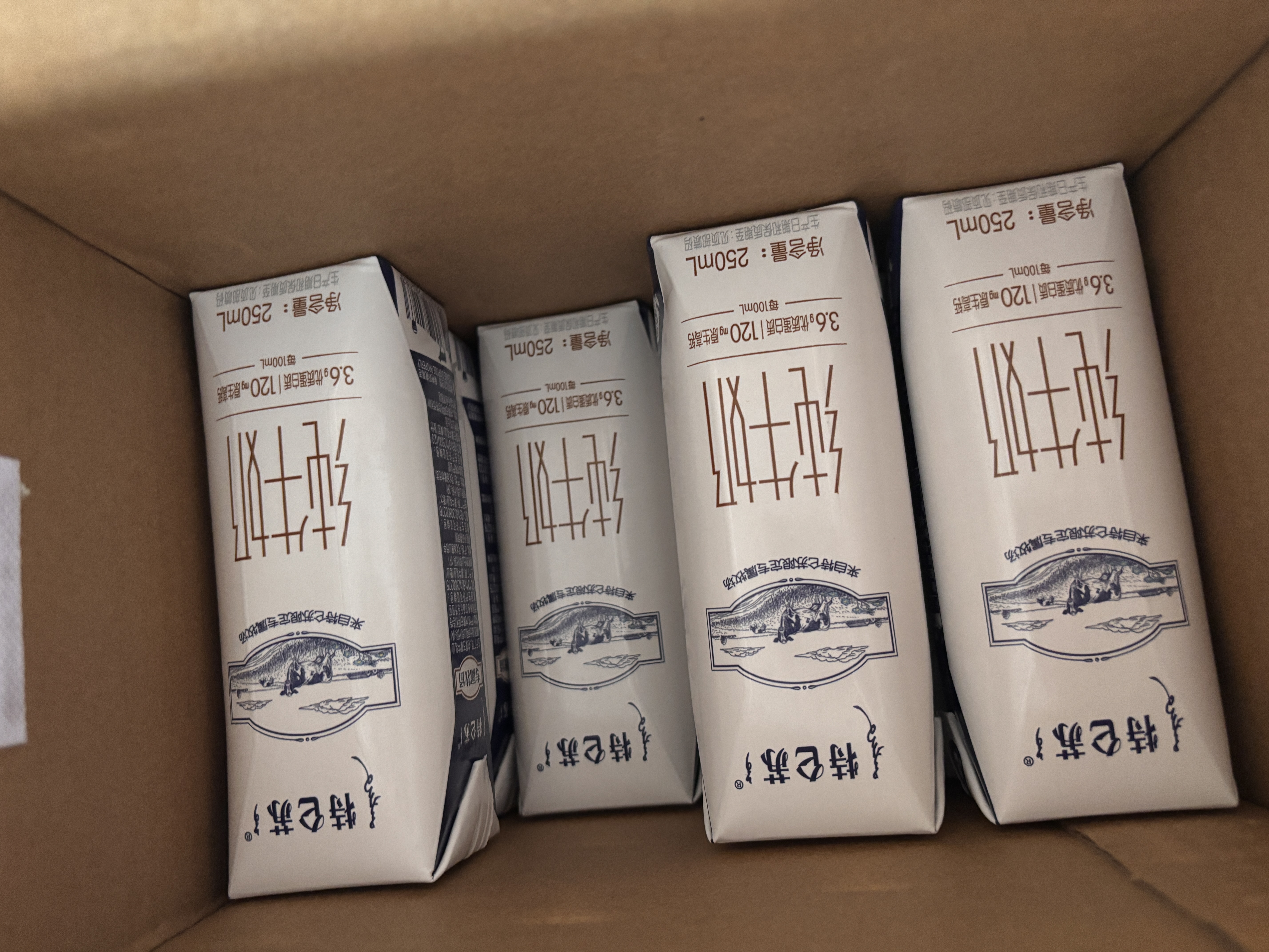蒙牛【新鲜日期】特仑苏纯牛奶250ml*16盒 家庭早餐 中秋送礼礼盒 实拍图