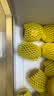 佳沛（zespri）x1号会员店联名款阳光金奇异果24粒礼盒单果约103-124g水果猕猴桃 实拍图