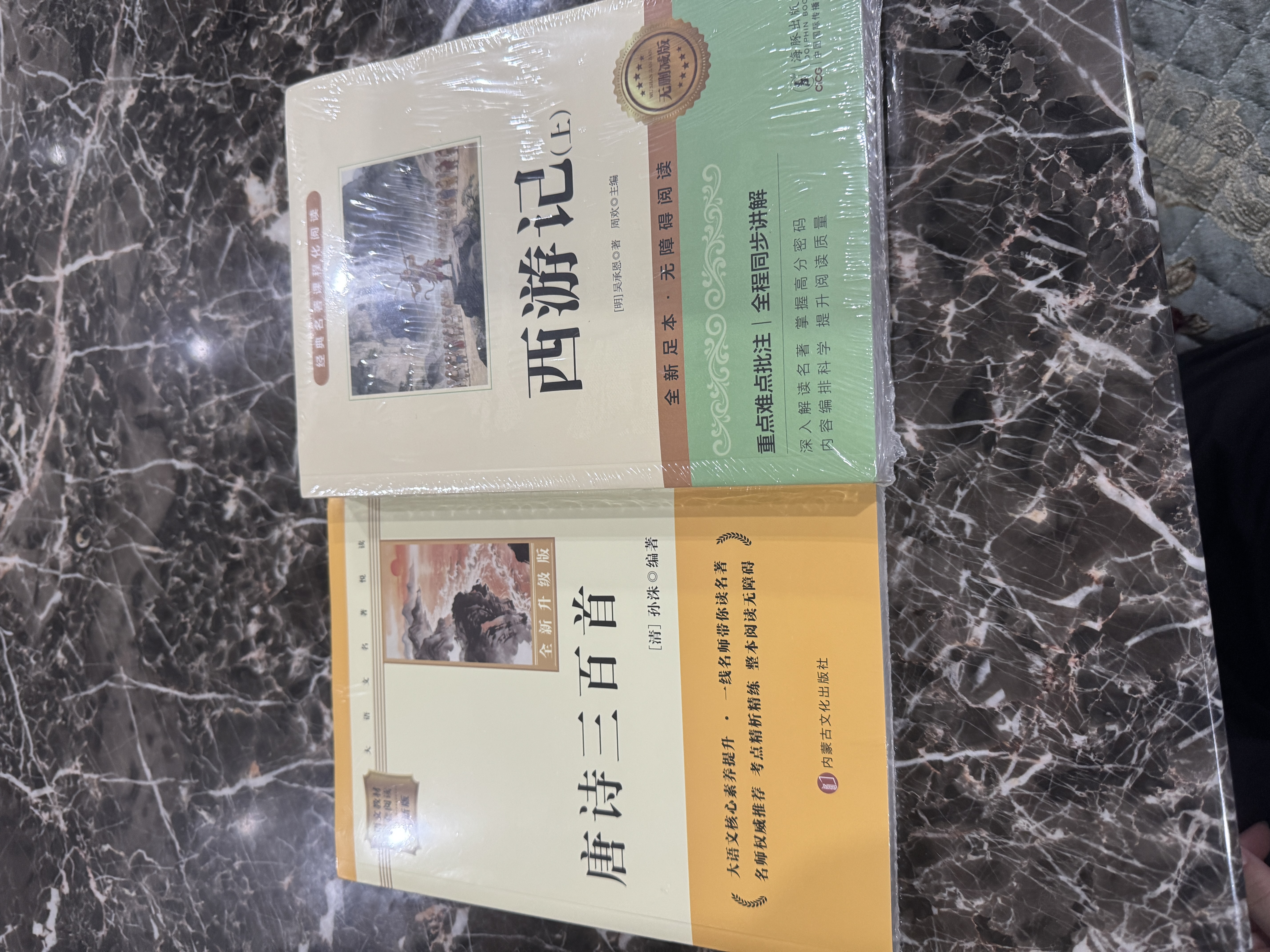 唐诗三百首 升级版 九年级上册初中必读 适用新版人教教材配套阅读 名师推荐考点精炼 初中九年级上册必读课外阅读书经典文学名著指定读物 无障碍阅读青少年文学 开学季 实拍图