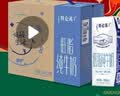 蒙牛特仑苏低脂纯牛奶250ml×16盒 健身减脂 中秋送礼礼盒 实拍图