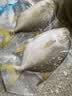 环球水产南海金鲳鱼净重700g/2条BAP认证深海鱼类海鲜家庭聚餐 实拍图