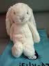 Jellycat害羞乳白色邦尼兔动物毛绒玩偶安抚玩偶娃娃送礼生日礼物 害羞乳白色邦尼兔 Medium 实拍图