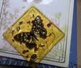 赟娅琥珀手作坊手工diy材料滴胶手链项链昆虫标本6岁10女孩生日礼物12 【自然琥珀手作】多种造型5合1 实拍图
