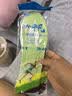 艾草防臭鞋垫吸汗透气军训超软久站防累减震运动舒适踩屎感防痛 2双-艾草吸汗防臭鞋垫灰色 39-40 实拍图
