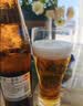 麒麟（Kirin）一番榨 黄啤酒 600ml*12瓶 整箱装京东自营中秋送礼 实拍图