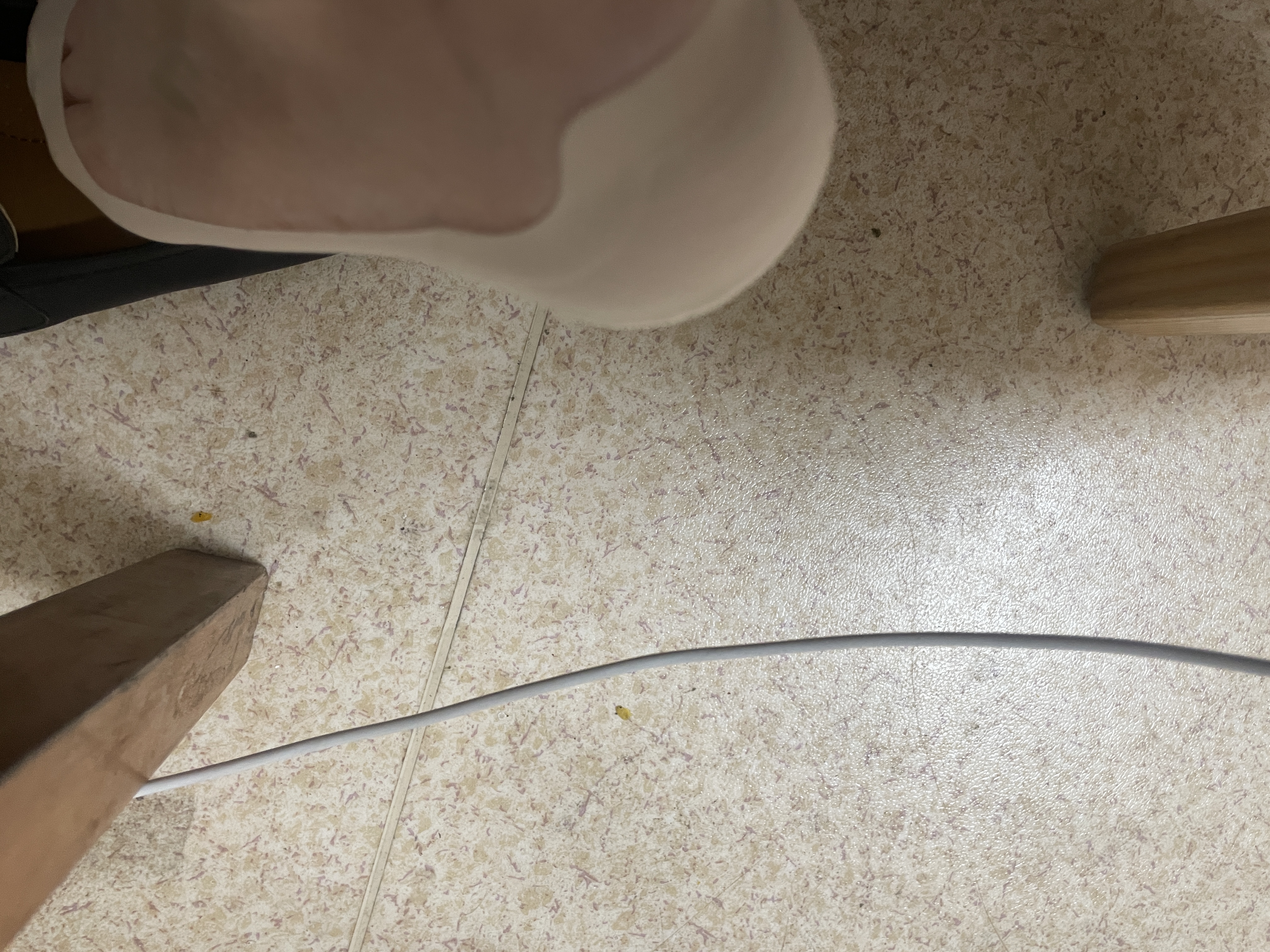 欧迪芬袜子女冰丝船袜女防滑不掉跟夏季薄款纯棉浅口配高跟鞋专用隐形袜 实拍图