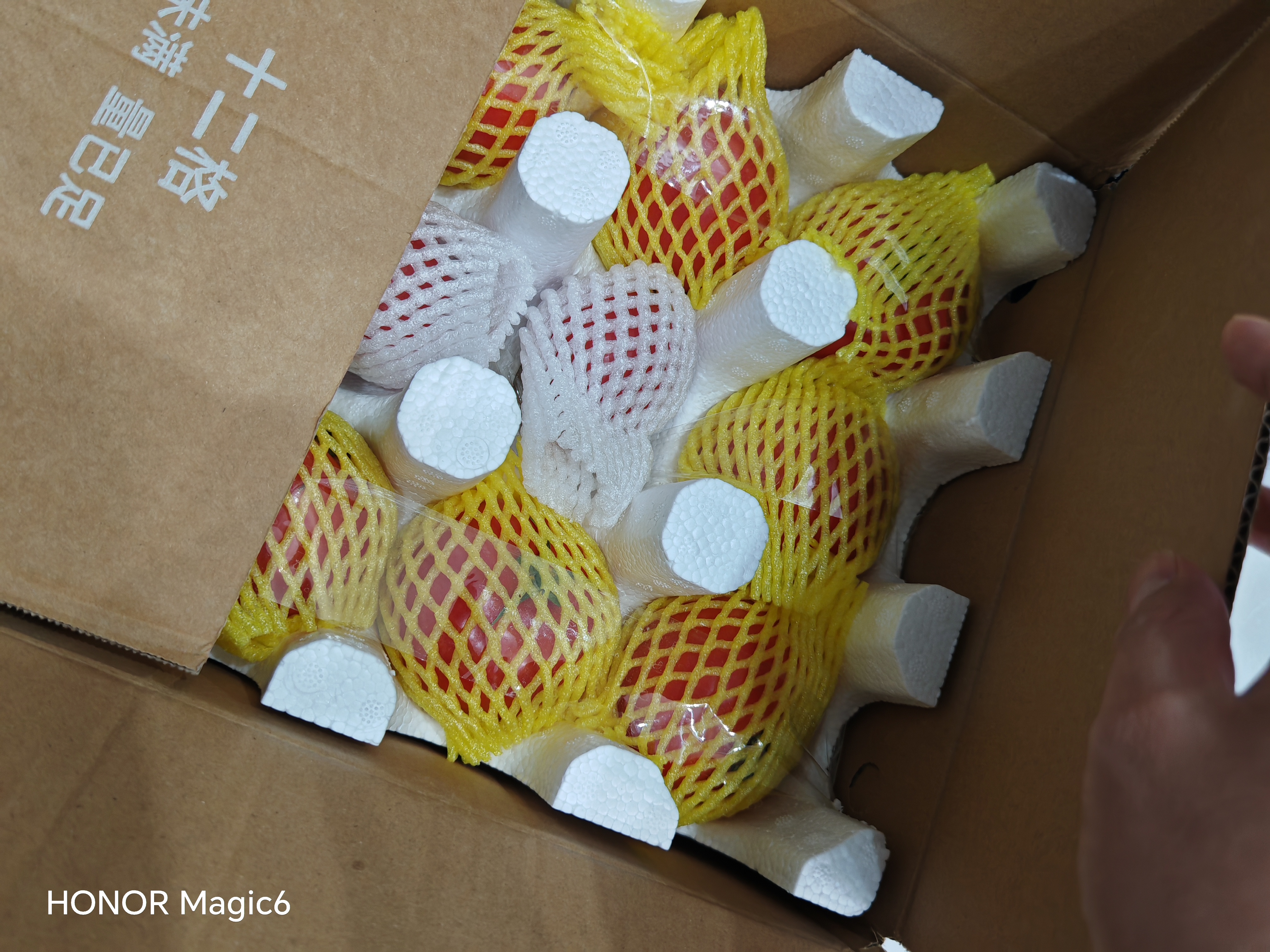 京鲜生 山东普罗旺斯番茄净重4.5斤中大果125g+ 沙瓤水果西红柿源头直发 实拍图
