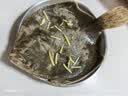 鲜活多宝鱼450-550g/条 实拍图