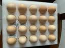 京鲜生 无抗保洁鲜鸡蛋30枚/盒 健康轻食 礼盒送礼 1.5kg/盒 源头直发 实拍图