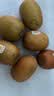 佳沛（zespri）金奇异果25粒原箱特大果134-146g猕猴桃中秋节礼品送水果礼盒 实拍图
