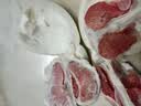集南鲜 福建红心柚子 新鲜水果红肉蜜柚 当季琯溪柚子孕妇水果节日送礼 特级10斤（3-4个） 净重9斤 实拍图