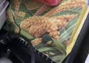十月稻田 赤峰小米 5斤 内蒙古敖汉 小米黄小米 杂粮米 早餐小米粥 中秋 实拍图