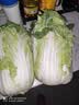 【霜打菜】新鲜大白菜黄心大白菜更甜早餐火锅超市京东包邮 6-8斤含箱 实拍图