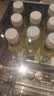 农夫山泉东方树叶茉莉花茶500ml*15瓶无糖茶饮料0糖0脂0卡整箱装 实拍图