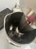九阳（Joyoung）1.2L豆浆机3-4人用破壁机古法豆浆可预约免煮免滤家用全自动榨汁机料理机DJ12P-D565 实拍图