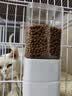 好主人（CARE） 金装猫粮2.0 无谷猫粮 全价幼猫通用 82%含肉量2.5kg/5斤 实拍图