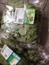 【火锅季】七鲜24小时富硒大叶茼蒿 200g 实拍图