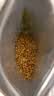 谷本道元金桂花15g新鲜金桂花茶叶烘焙冲饮汾酒干桂花泡茶酿酒茶饮烘焙 实拍图