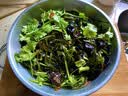 湾琴河 香油海白菜500g 罐装即食裙带菜梗段片海藻沙拉下饭菜 实拍图
