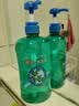 蜂花王俊凯推荐 本草精华洗发水820ml 去屑洗发露液男女士洗发膏 实拍图