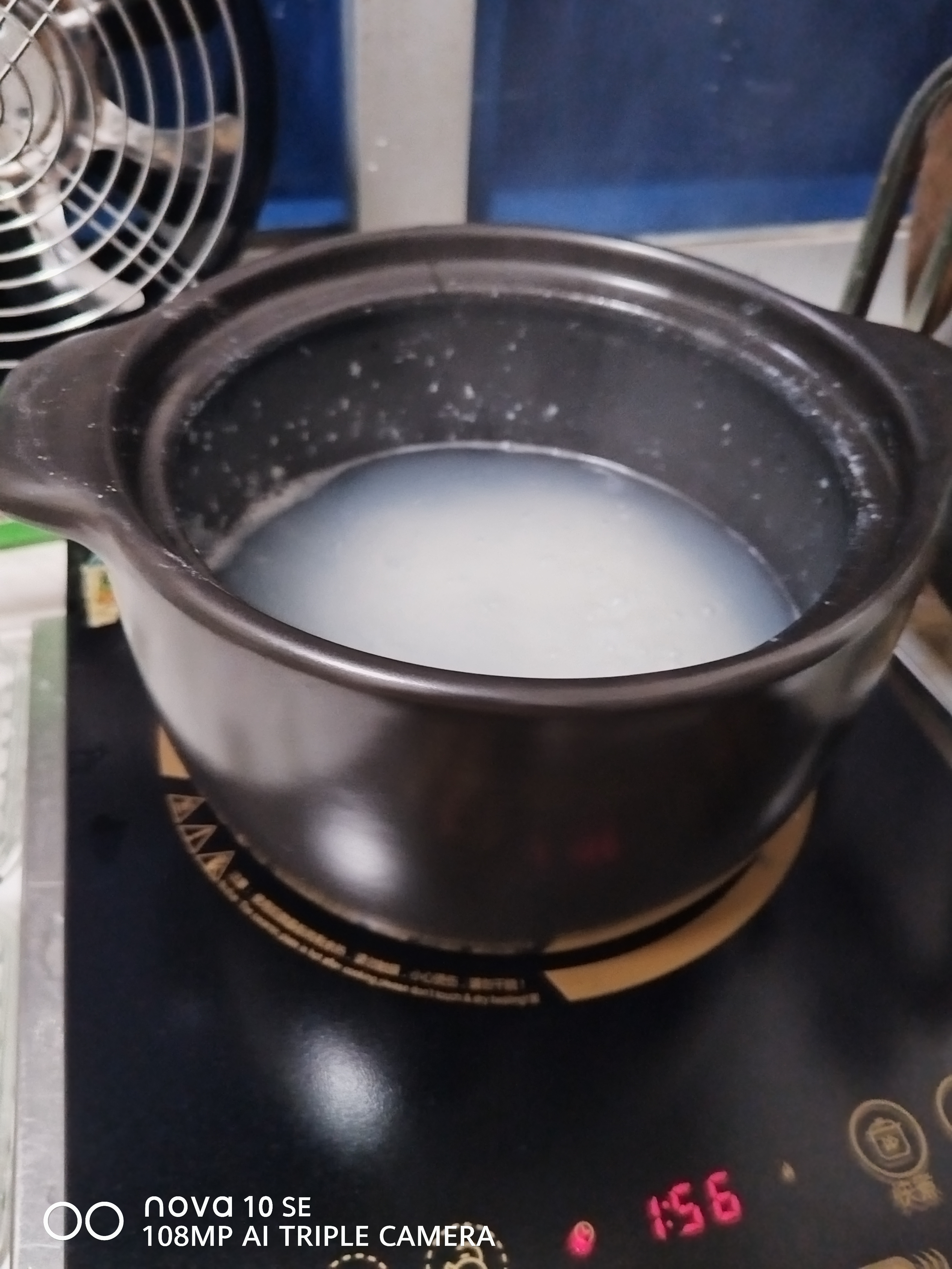 炊大皇（COOKER KING）【电磁炉专用】砂锅家用燃气炖锅煲仔饭炖汤锅耐高温干烧不裂 【干烧不裂 烧裂焕新】 3.6L 实拍图