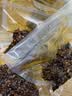 小熊（Bear）家用抽真空封口机 全自动真空封口一体机商用 干湿两用抽真空密封机包装机打包塑封机 FKJ-G01F2 实拍图