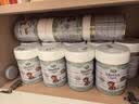 宝贝与我（Arla）白金版 有机A2蛋白 幼儿配方奶粉 3段 600g【1-3岁】阿拉 阿尔乐 实拍图