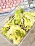 一号农场开袋即食田园风情沙拉120g*3混合蔬菜沙拉包轻食健身代餐源头直发 实拍图