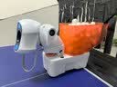 庞伯特（pongbot）NOVA 乒乓球发球机 家用台面便携式智能乒乓球训练器 发球器 NOVA智能发球机 实拍图