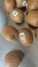 佳沛（zespri）绿奇异果10个装 宝宝果单果约80-89g 水果猕猴桃包邮 实拍图