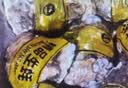 鲜京采鲜活生蚝3XL 净重5斤 13-18只 乳山牡蛎 烧烤清蒸 新鲜捕捞 中秋 实拍图