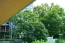 松下（Panasonic）Lumix G100D M43画幅相机 M43卡口 微单相机 无反数码相机 G100D+【12-60mm白盒】单镜套装 实拍图