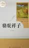 骆驼祥子+海底两万里 人教版 语文名著精选套装 七年级下 开学季 实拍图