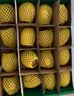 佳沛（zespri）新西兰金奇异果16粒经典果88-103g猕猴桃水果礼盒 实拍图