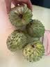 京地达云南牛奶释迦果番荔枝净重4.5斤单果150g老树佛头果 源头直发包邮 实拍图