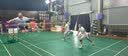 尤尼克斯（YONEX）羽毛球手胶运动吸汗带握把胶AC-102C-309柠檬绿三条装 实拍图