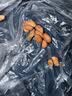 享食兔瘪花生1000g甘甜生花生山东特产干瘪花生米仁2026小花生米新货 实拍图
