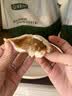 宝宝馋了馋宝厨房黑猪肉小笼包200g包子纯手工营养儿童早餐半成品冷链速发 实拍图