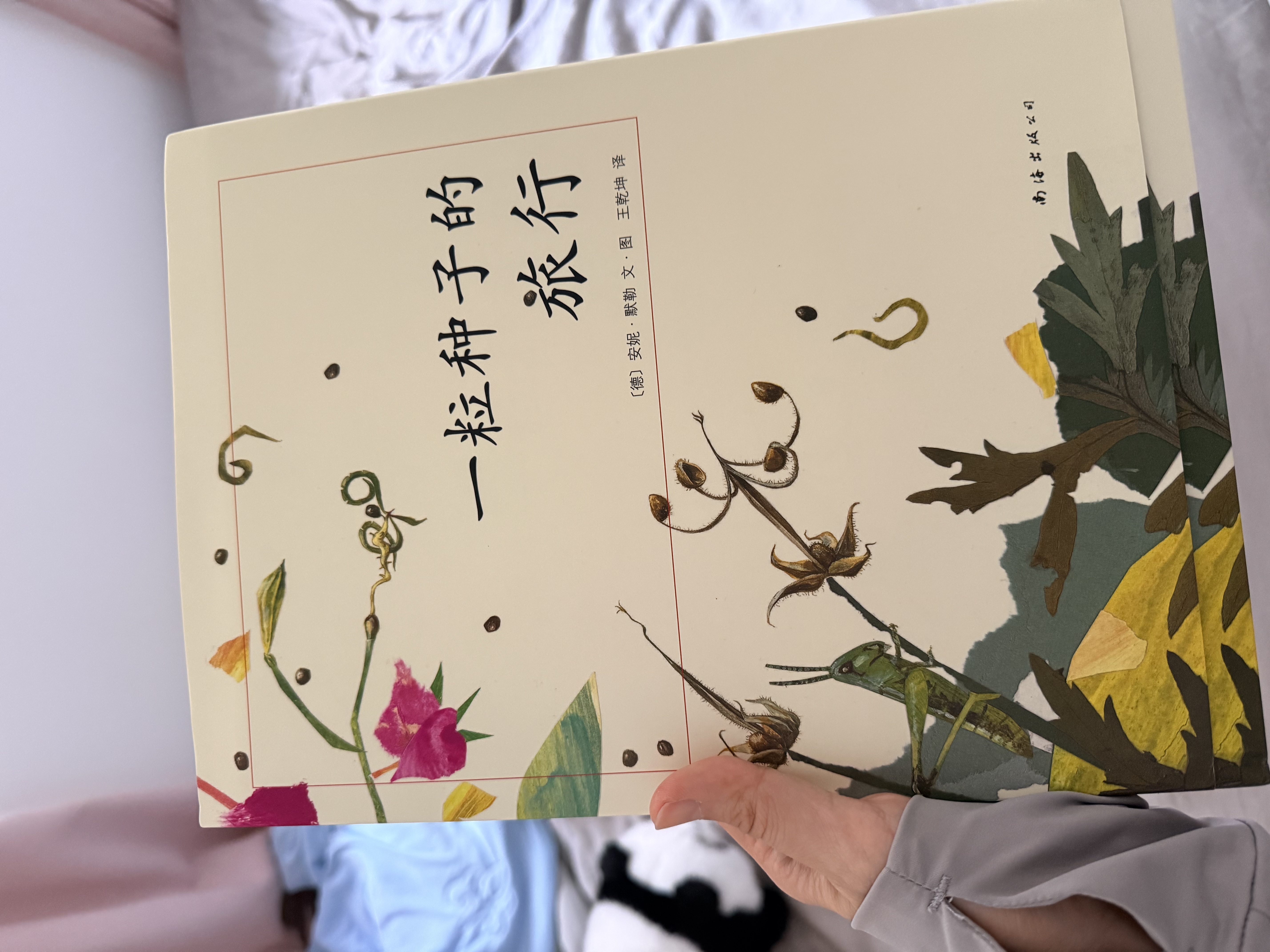 【全新正版书 京仓配送】一粒种子的旅行 （精装版）自然科普绘本 小 晒单实拍图
