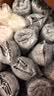 Freego纯棉一次性内裤男无菌全棉免洗5条独立装旅行商务出差度假男灰2XL 实拍图