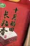 十月稻田 长粒香大米 20斤（东北大米 香米 10kg/公斤） 实拍图