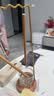 六品堂多功能免洗毛笔笔架挂架笔架毛笔挂架子展示架书法专用洗笔神器洗笔器文房四宝保湿器清洗器防干 实拍图