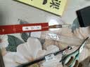六品堂毛笔狼毫羊毫兼毫学生初学者入门书法笔湖笔大中小楷毛笔套装成人毛笔【棕竹毛笔中号1支】 实拍图