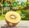 佳沛（zespri）新西兰金奇异果10粒巨大果146-175g猕猴桃中秋节礼品送水果礼盒 实拍图