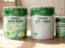 三棵树漆（SKSHU）京粹金装净味五合一墙面漆油漆涂料51L底面套装可调色【 厂送】 实拍图