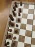 冠小二国际象棋小学生儿童带磁性折叠便携实木棋盘高档chess西洋棋户外 实拍图