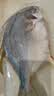 翔泰冷冻二去金鲳鱼礼盒2斤2条净重免处理生鲜鱼类海鲜水产 实拍图