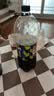 百事可乐Pepsi 无糖可乐 青柠味碳酸饮料汽水 2L*6大瓶 家庭聚会分享 实拍图
